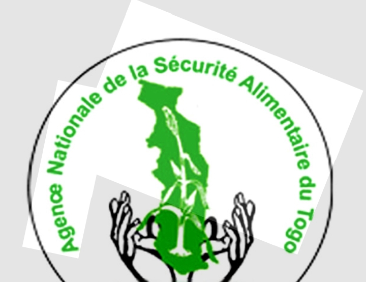 Togo : Le lieutenant-colonel Atolèlou Kpatcha prend les rênes de l’agence chargée de la sécurité alimentaire